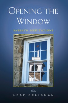Opening_The_Window
